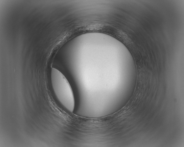 X0000057040354200509090822