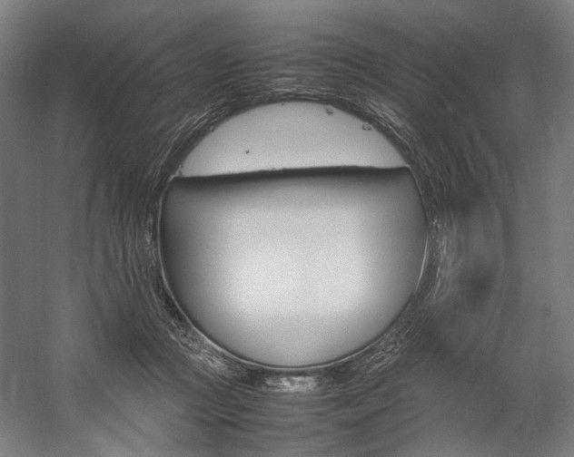X0000057040361200509090822