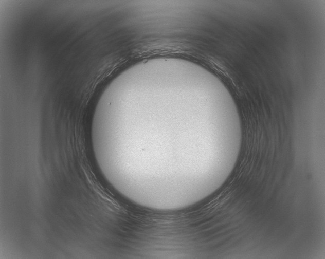 X0000057040362200509090822