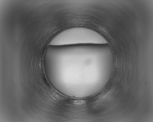 X0000057040363200509090822