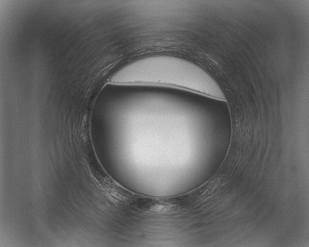 X0000057040364200509090822
