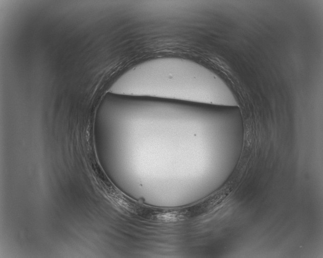 X0000057040365200509090822