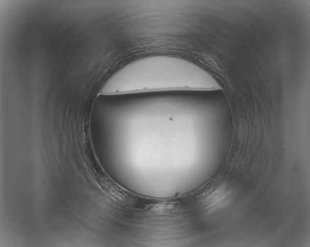 X0000057040366200509090822