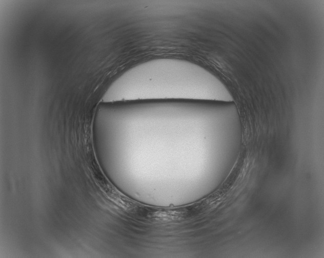 X0000057040367200509090822