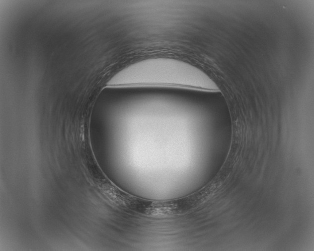 X0000057040368200509090822