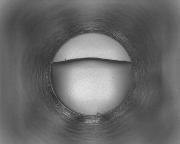 X0000057040369200509090822