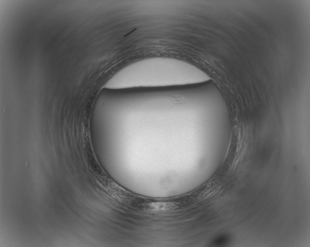 X0000057040371200509090822