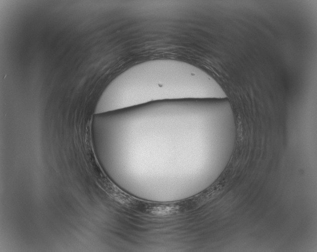 X0000057040375200509090822