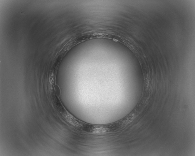 X0000057040376200509090822