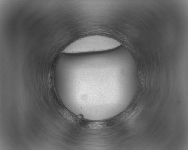 X0000057040378200509090822