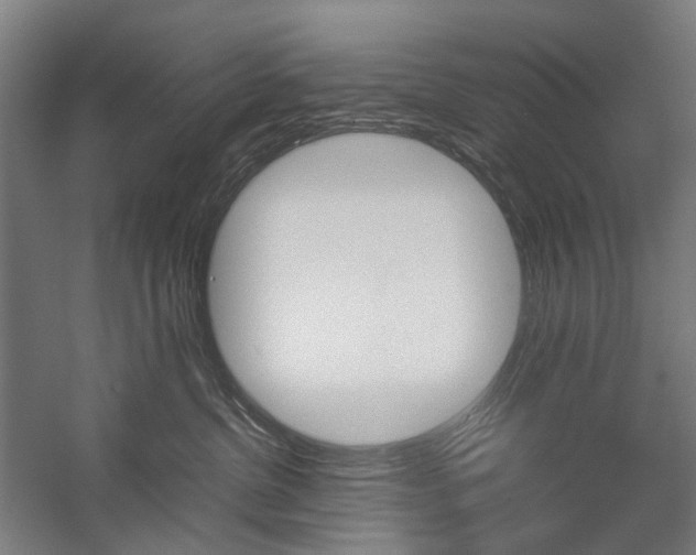 X0000057040380200509090823