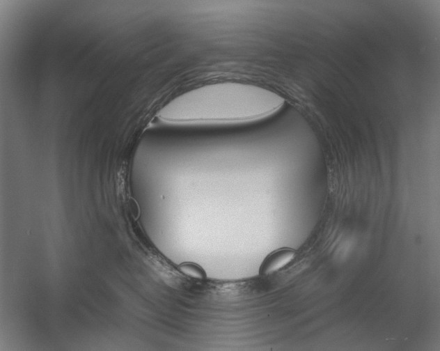 X0000057040382200509090823