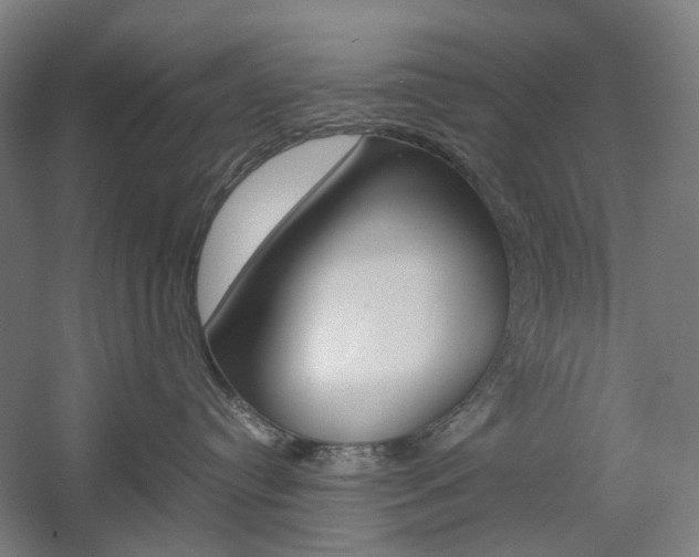 X0000057040384200509090823