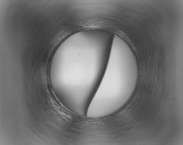 X0000057040386200509090822
