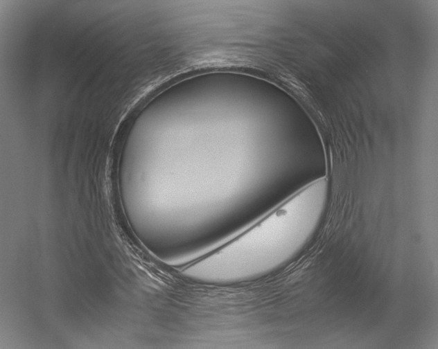 X0000057040387200509090822
