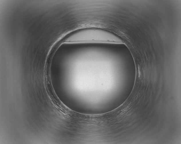 X0000057040388200509090822