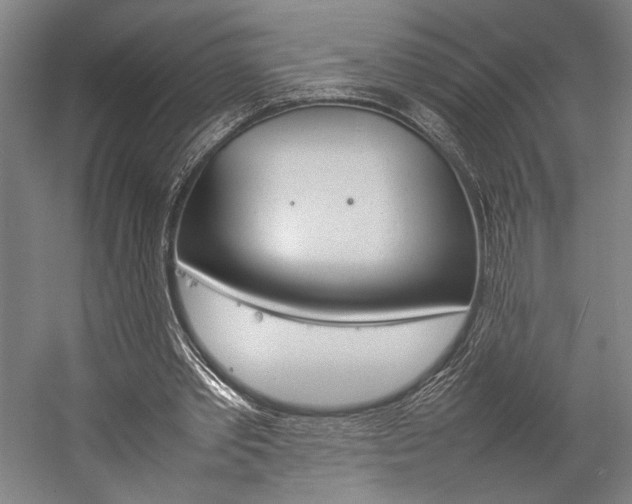X0000057040389200509090822