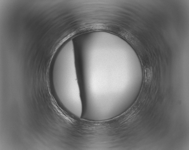 X0000057040390200509090822