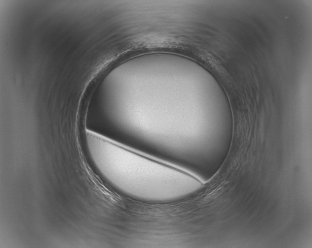 X0000057040391200509090822
