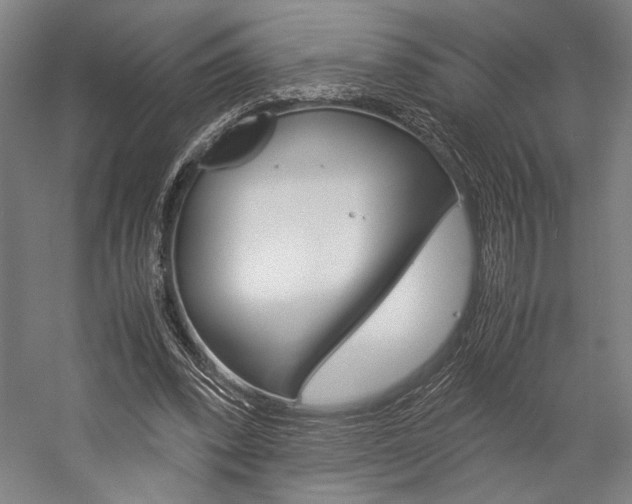 X0000057040392200509090822