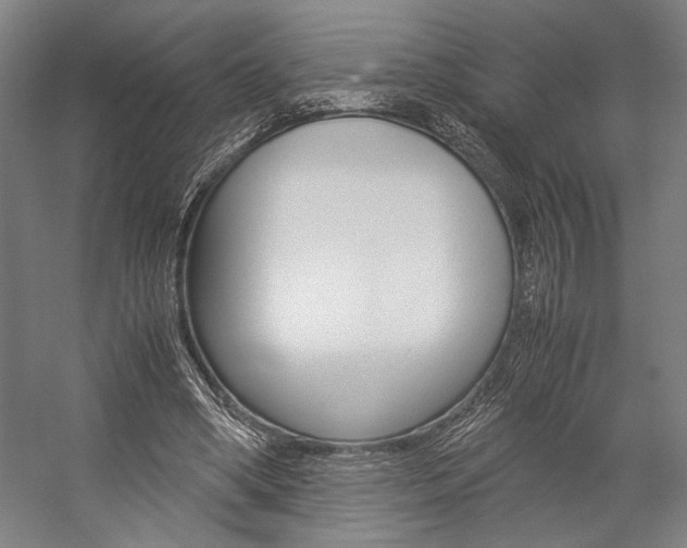 X0000057040394200509090822