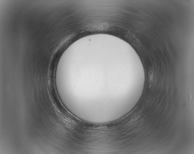 X0000057040396200509090822
