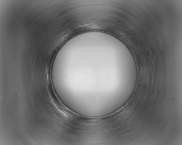 X0000057040398200509090822