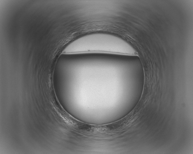 X0000057040401200509090822