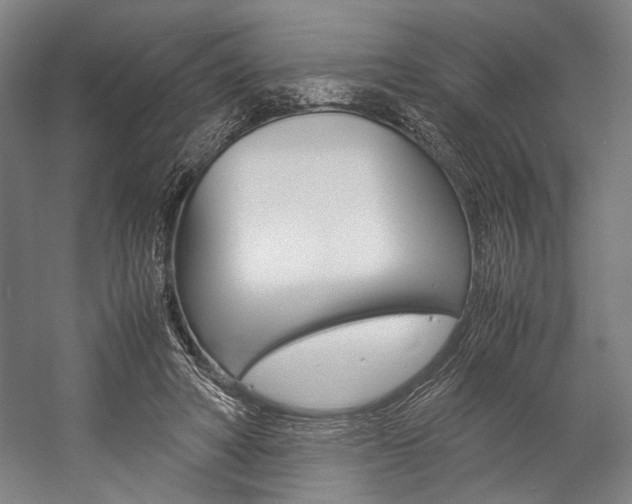 X0000057040402200509090821