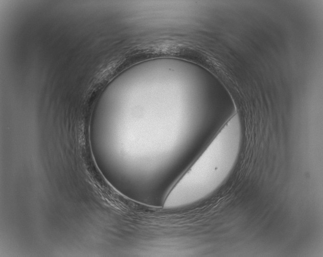 X0000057040403200509090821