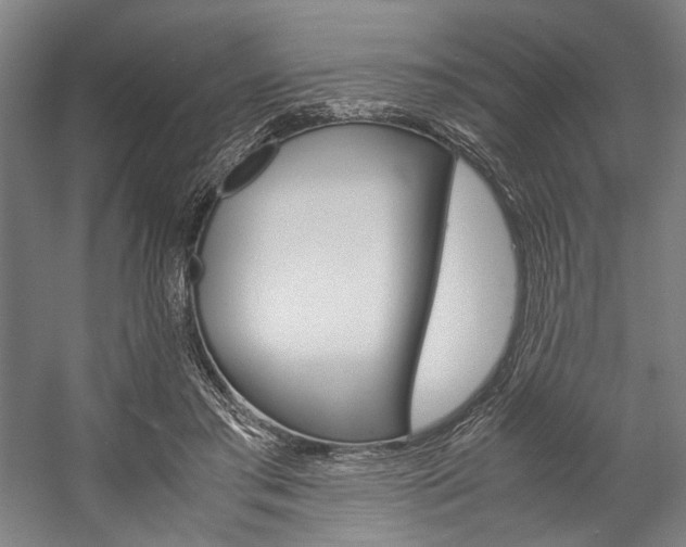 X0000057040405200509090821