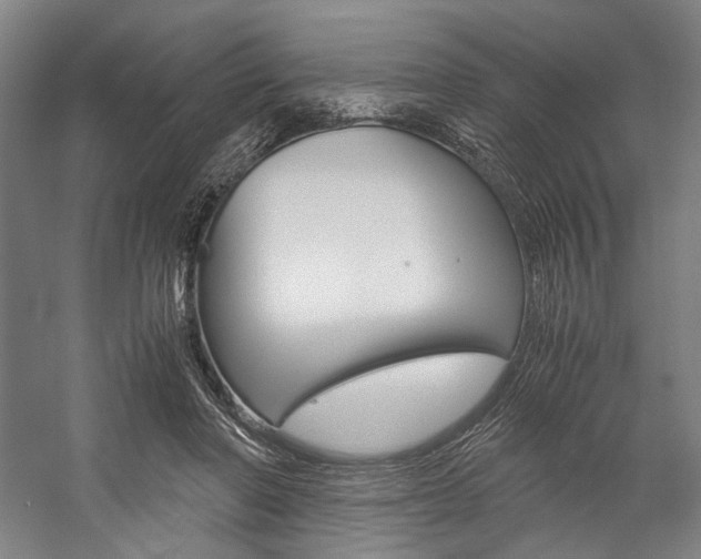 X0000057040406200509090821