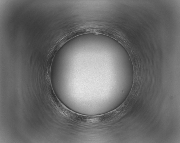 X0000057040411200509090821