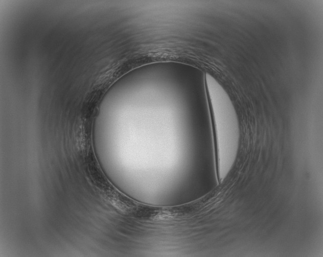 X0000057040416200509090821