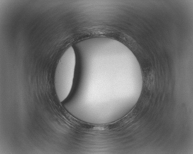 X0000057040418200509090821