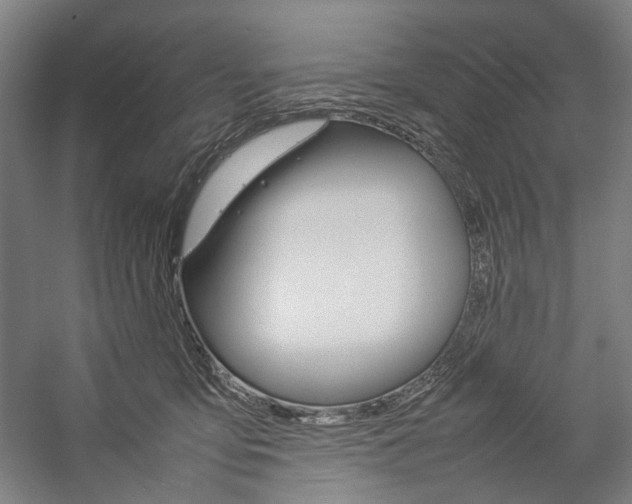 X0000057040419200509090821