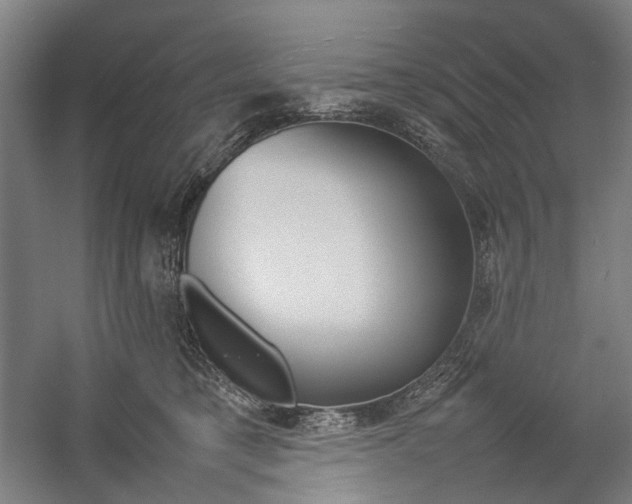 X0000057040421200509090821