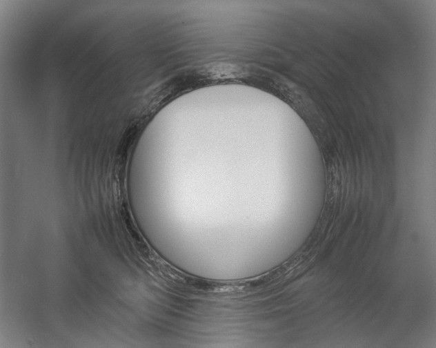X0000057040422200509090821