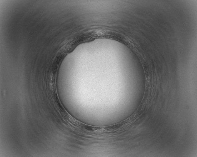 X0000057040423200509090821