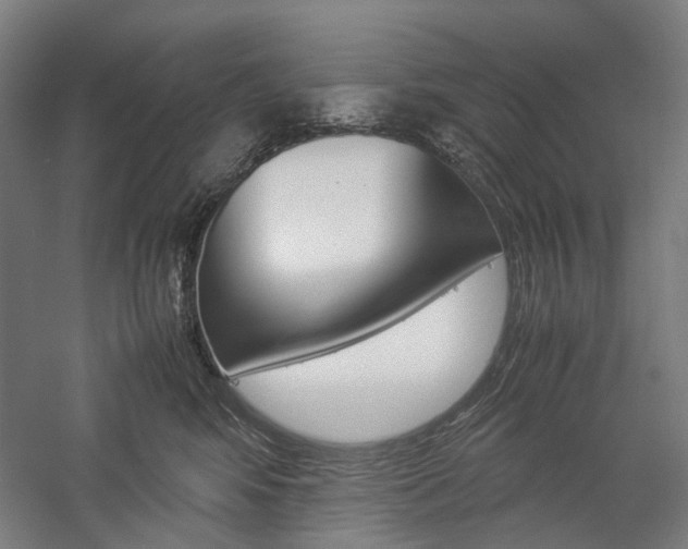 X0000057040424200509090821