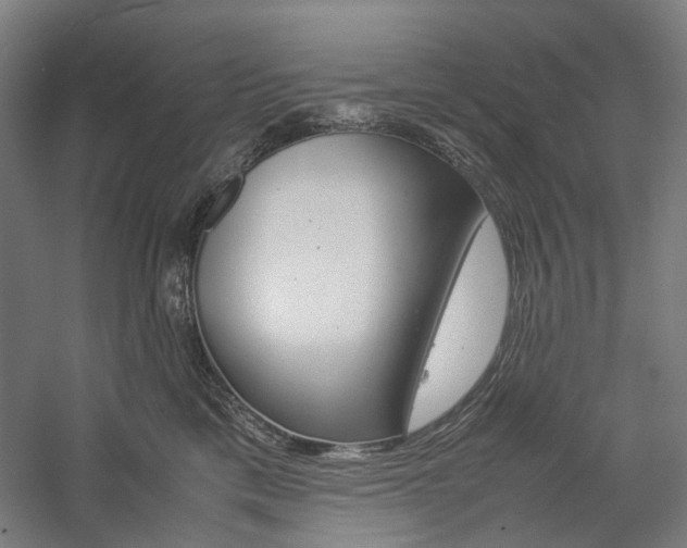 X0000057040425200509090821