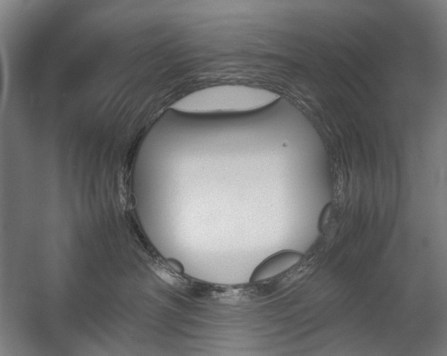 X0000057040430200509090821