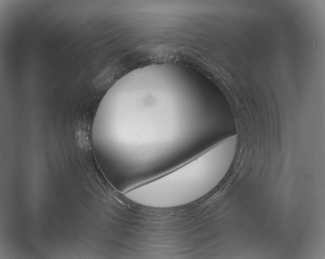 X0000057040432200509090821