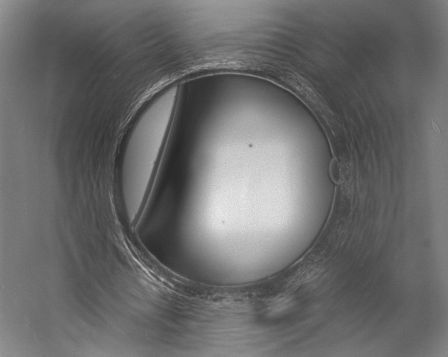 X0000057040434200509090820