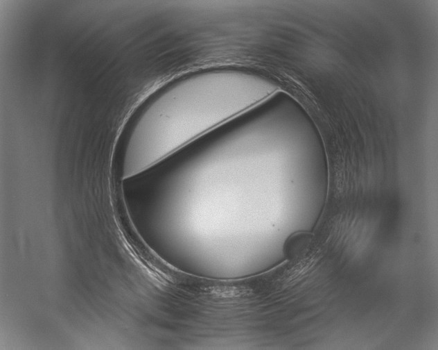 X0000057040439200509090820