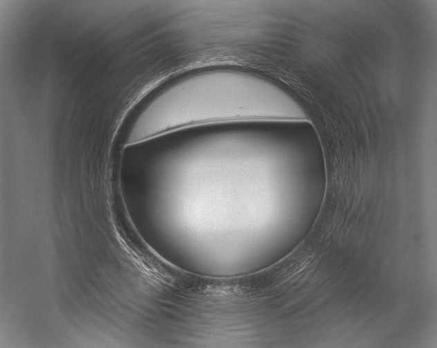 X0000057040440200509090820