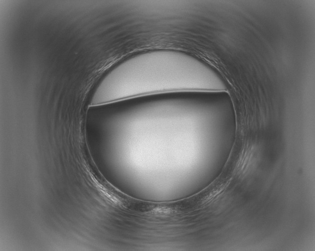 X0000057040441200509090820