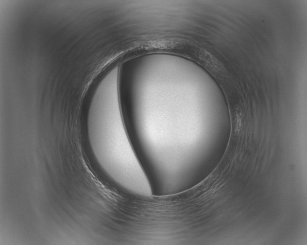 X0000057040444200509090820