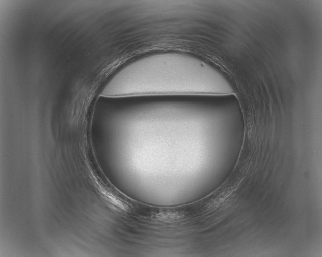 X0000057040445200509090820
