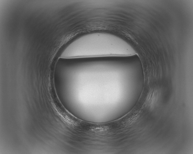 X0000057040447200509090820